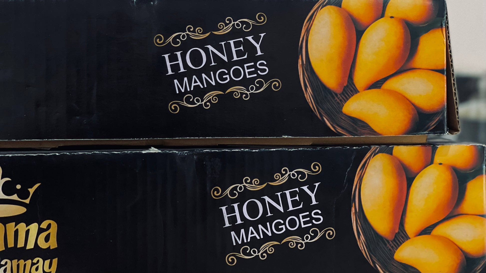 Premium Handpicked Mangoes – Farm Fresh & Export Quality