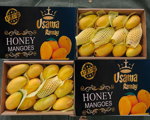 Premium Handpicked Mangoes – Farm Fresh & Export Quality