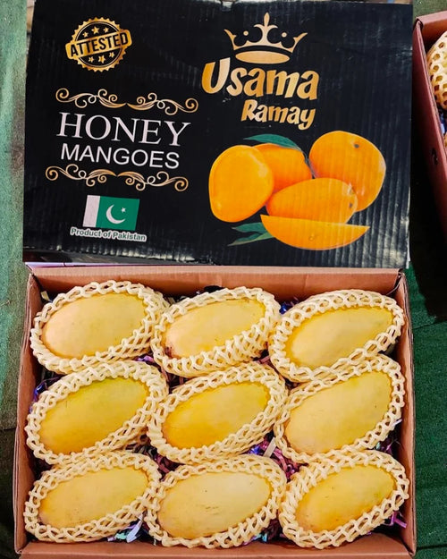 Premium Handpicked Mangoes – Farm Fresh & Export Quality